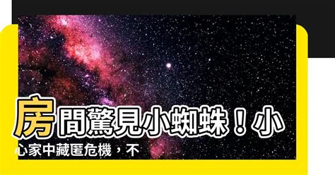 家裡出現小蜘蛛風水|家裡出現小蜘蛛代表什麼？風水專家教你化解厄運 